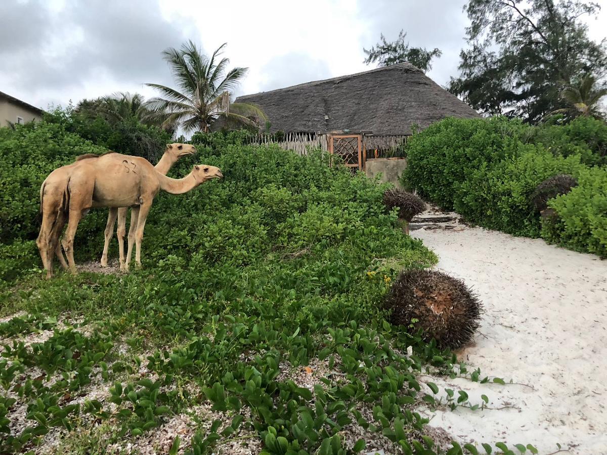 Sunset Beach Resort Watamu Kültér fotó